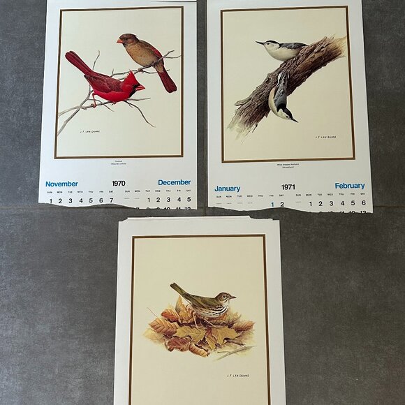 Vintage 1968 & 1969  Calendar Prints J.F. Lansdowne Birds - Picture 8 of 9